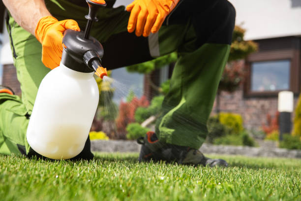 Best Pest Control for Businesses  in Lusby, MD