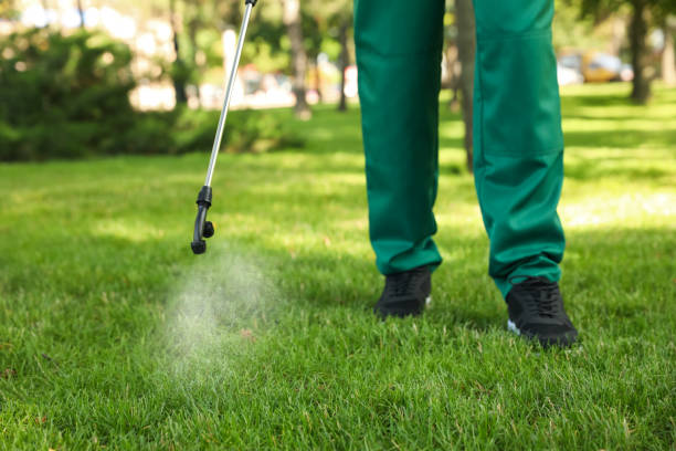 Best Ant Control Services  in Lusby, MD