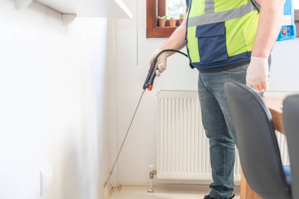 Best Local Pest Control Services  in Lusby, MD