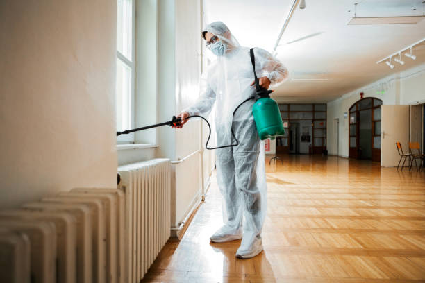 Best Best Pest Control Companies  in Lusby, MD