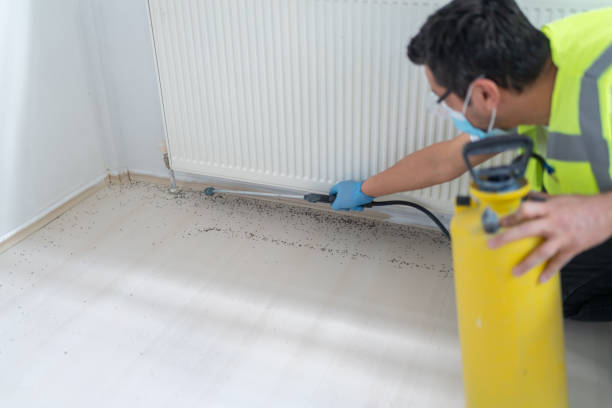 Best Flea Control Services  in Lusby, MD