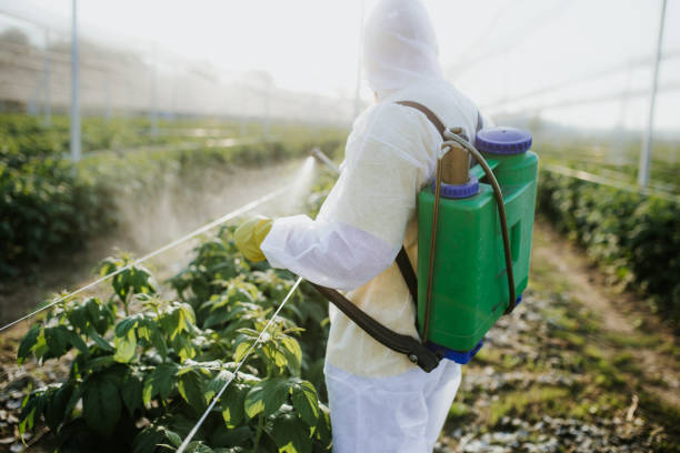 Reliable Lusby, MD Pest Control Solutions